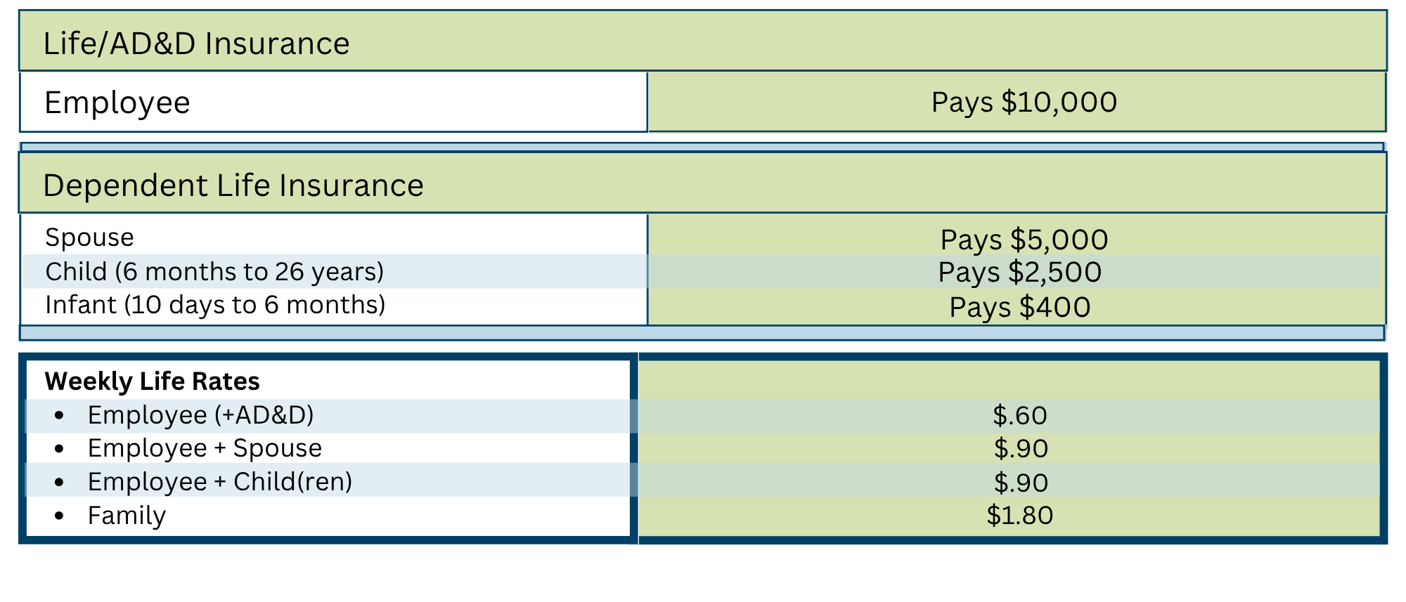LifeAD&D Plan Benefits_AW (1)